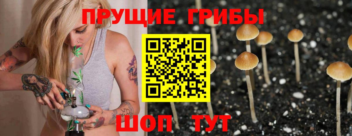 Псилоцибиновые грибы прущие грибы Дзержинск